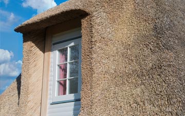 Andersfield thatch roof disadvantages